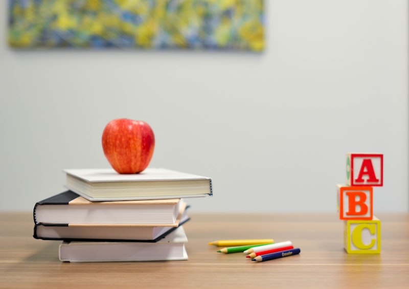 Soutien scolaire